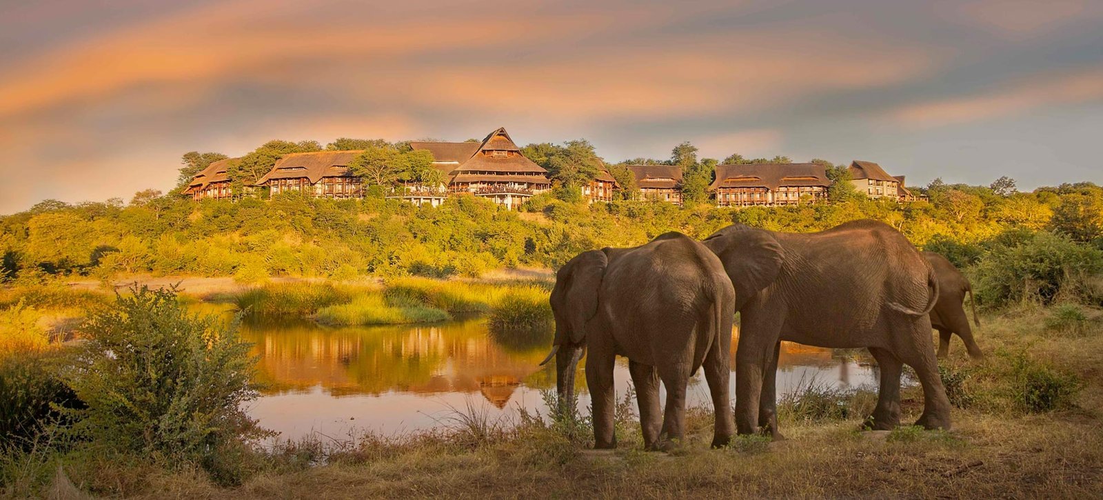 Safari-Lodge-Conference-Victoria-Falls-Zimbabwe